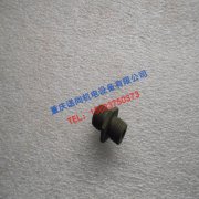 重庆康明斯K19水泵水滤接头206963