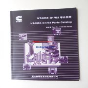 康明斯NTA855-G1/G2发电机零件图册3166190配件目录